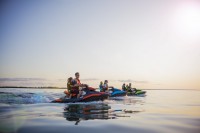 /album/fotogalerie-sea-doo-spark-900-ho-ace-3-up-ibr-90hp/image-10-jpg1/
